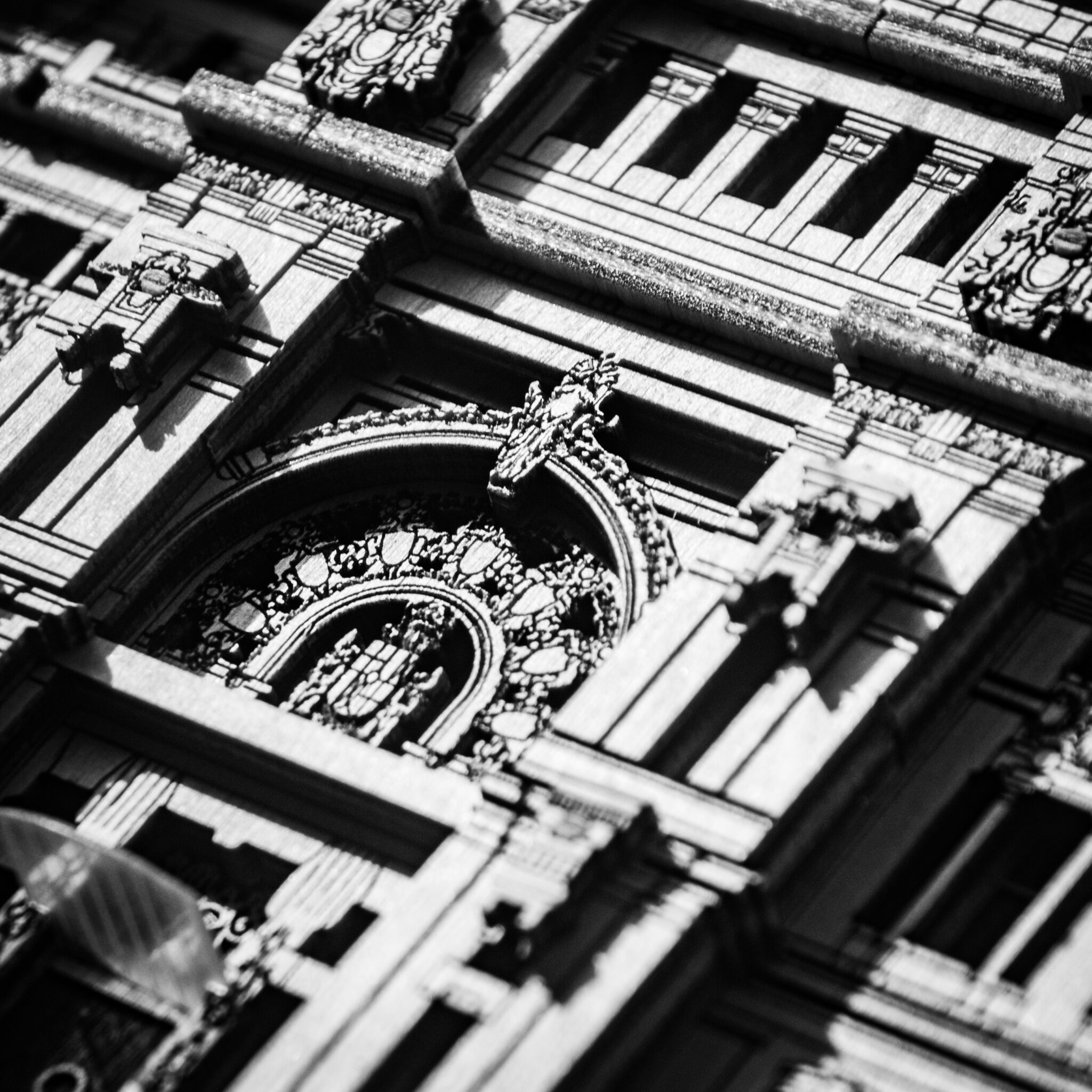 DSC_0010-2