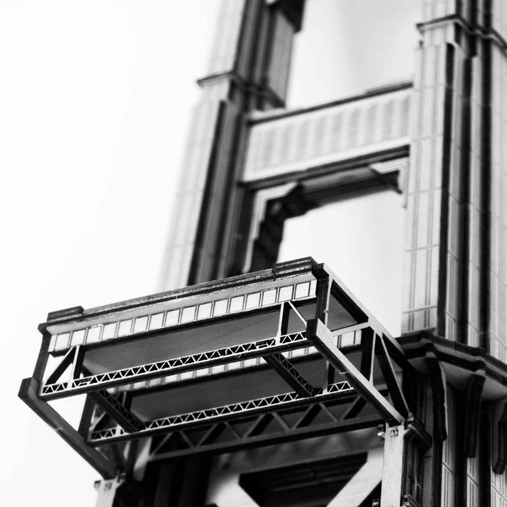DSC_0587--sesgado