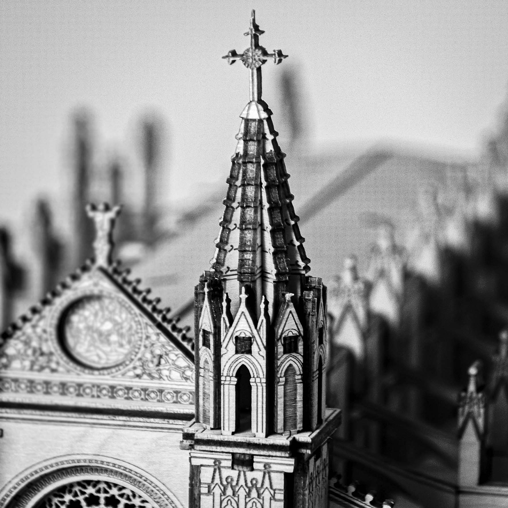DSC_0622-2-2